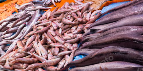Preview: Fresh Fish at Central Food Market