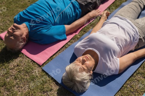 Preview: Senior man and senior woman performing yoga position on the back on yoga mat in the park