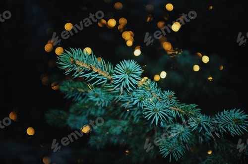 Preview: detail of a spruce christmas tree with lights blurred in the background at night,