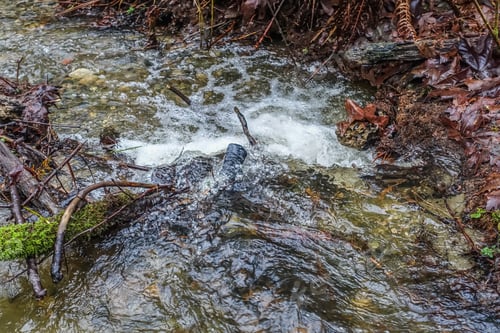 Preview: A Closeup Shot Of A Pacific Northwest Streambed With Clear Water And Rocks.