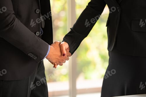 Preview: Successful business agreement of young businessmen and woman