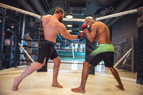 Preview: Wrestlers in the ring