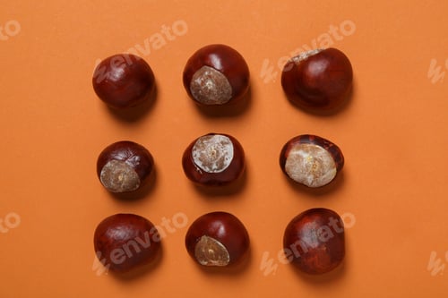 Preview: Fresh chestnut fruits on an orange background