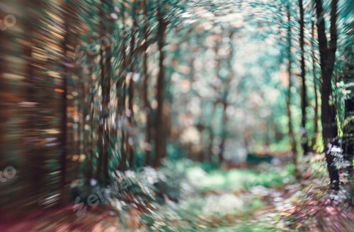 Preview: Focus Bokeh Background