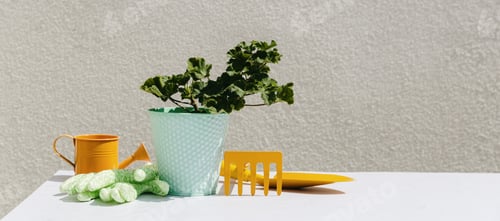 Preview: Set of garden tools and geranium flower on white concrete background.