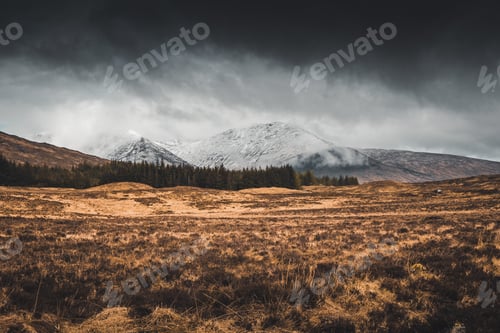 Preview: Mesmerizing landscape of a large meadow under a stormy sky