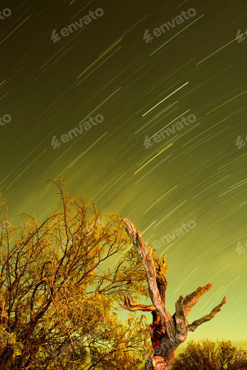 Preview: Star trails