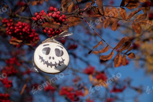 Preview: Halloween skull cookie on rowan tree branch