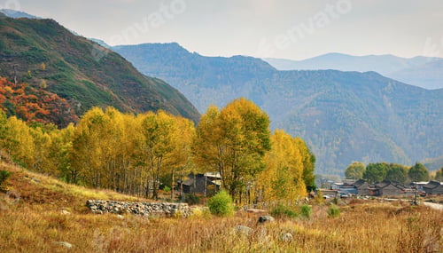 Preview: Country life