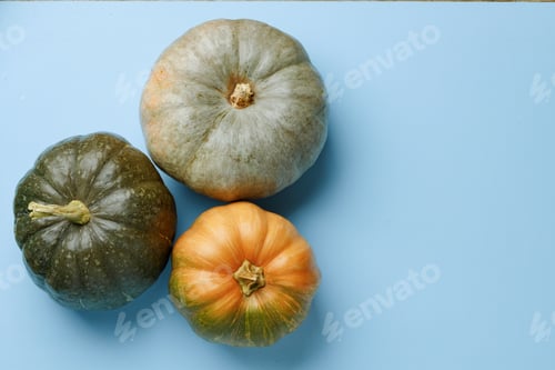Preview: Small pumpkins on blue pastel background top view