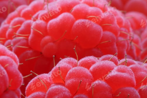 Preview: Raspberry beret