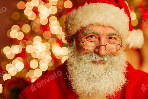 Preview: Portrait Of Smiling Santa Claus