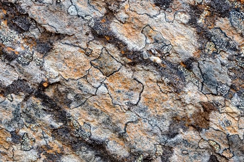 Preview: Gray rock surface with colorful lichens for background or texture
