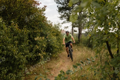 Preview: Cyclist riding bike on forest trail surrounded by green foliage and trees