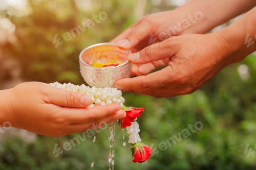 Preview: Young man's hands pour water and flowers on elder hand holding jasmine garland for Songkran festival