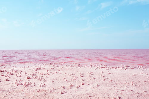 Preview: Beautiful view of pink lake on sunny day