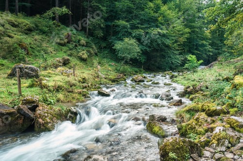 Preview: Cascade stream flowing in deep forest during summer