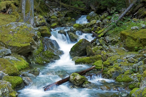 Preview: North Cascades Creek