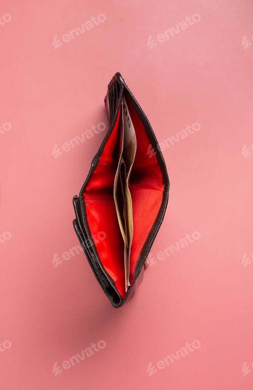Preview: The concept of the reproductive organs of a woman, the vagina open wallet with money