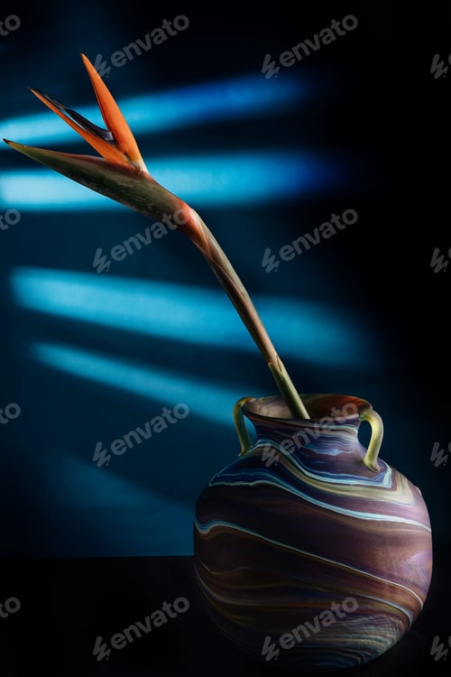 Preview: Vertical shot of a Bird of paradise flower in a colorful vase on a blue background