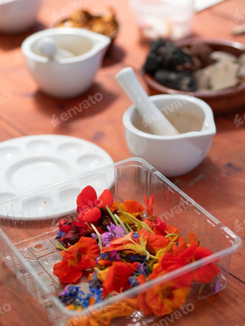 Preview: Preparing natural inks and pigments with flowers and vegetables for painting workshop