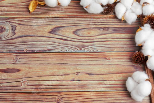 Preview: Branch with cotton flowers on wooden background