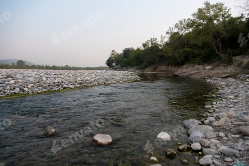Preview: View of a flowing stream in the forest.