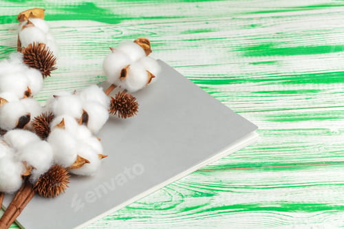 Preview: Blank notepad and cotton branch top view flat lay