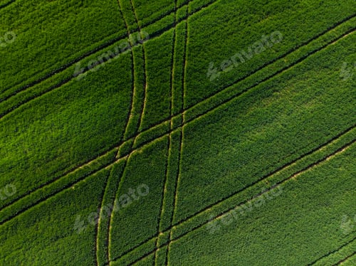 Preview: Tractor patterns in farming fields from drone
