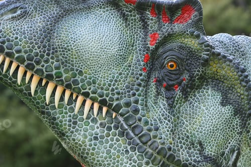 Preview: Reconstruction of Feathered Tyrannosaurs