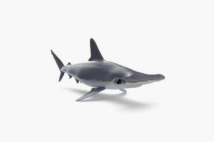 Preview: Great Hammerhead Shark with Hydrodynamic Body