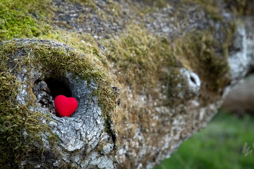 Preview: Hidden gem. Nothing richer than the heart. Priceless