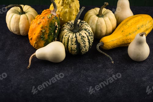 Preview: Decorative pumpkin on green background.