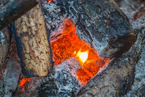 Preview: Close up of a fire burning in large logs
