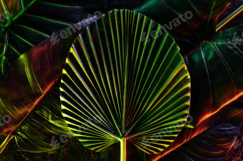 Preview: toned picture of various tropical leaves with red lighting