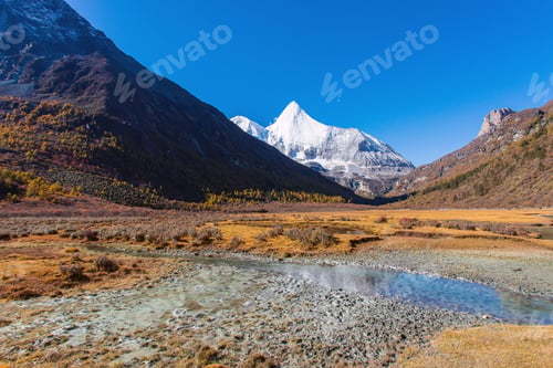 Preview: Colorful in autumn forest and snow mountain at Yading nature reserve, The last Shangri la