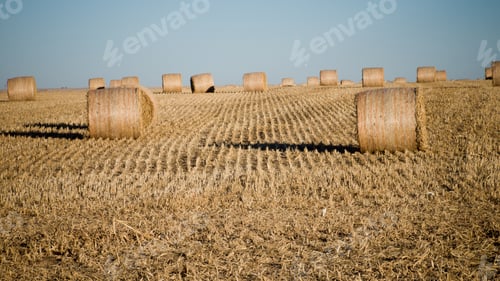Preview: Haystack