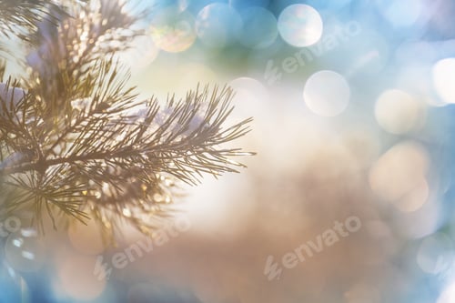 Preview: Frozen tree
