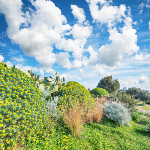 Aperçu: Stunning spring view on the the cape Milazzo panorama of nature reserve Piscina di Venere.