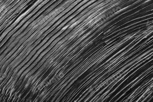 Preview: Smear of black mascara as background, closeup