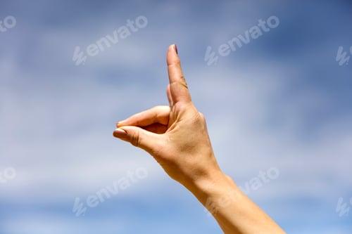Preview: Alpaca hand sign