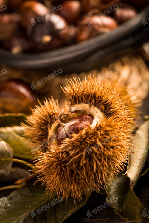 Preview: Roasted chestnuts and leaves