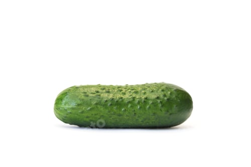 Vista previa: Un pepino fresco aislado sobre fondo blanco.