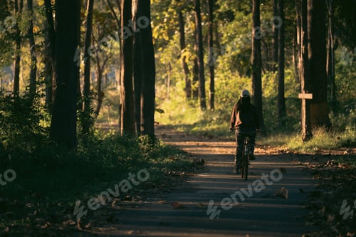 Preview: Bicyclist cycling through summer green forest, enjoying nature lifestyle, fitness and wellness