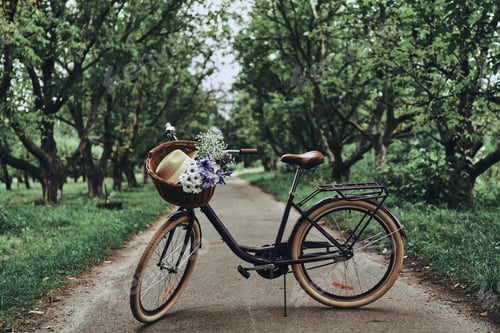 Preview: Green transport.