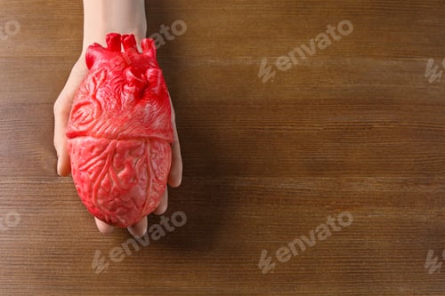 Preview: Woman holding model of heart on wooden table. Heart attack concept