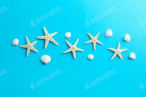 Preview: Flat lay composition with starfishes and seashells on color background, space for text