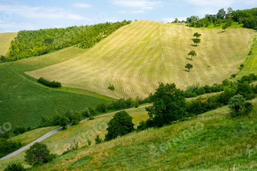 Preview: Rural landscape along the road from Sassuolo to Serramazzoni, Emilia-Romagna.