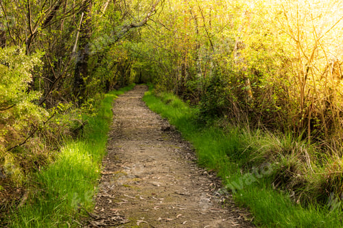 Preview: Dirt road pathway in Lagoas de Bertiandos