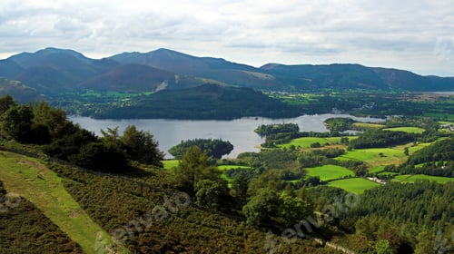 Preview: Aerial view of lake surrounded by dense trees and mountains